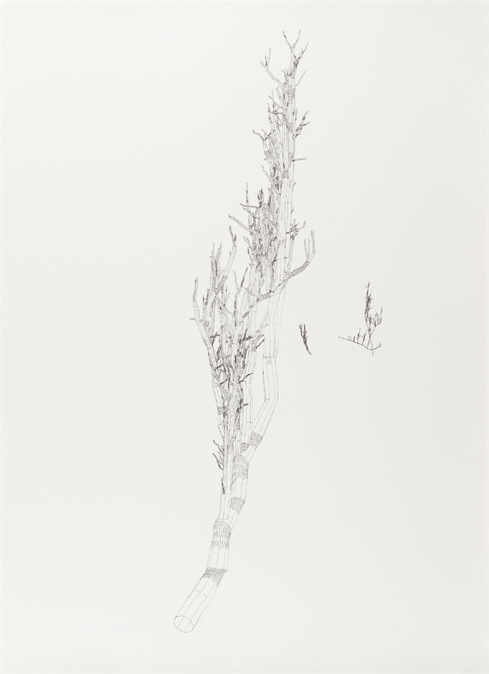 Skärmavbild 2020-05-18 kl. 13.56.00
