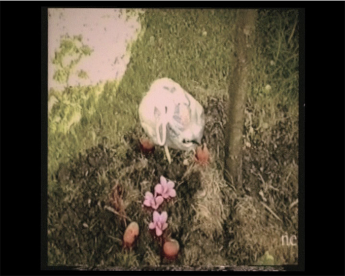 Skärmavbild 2020-05-19 kl. 14.26.33